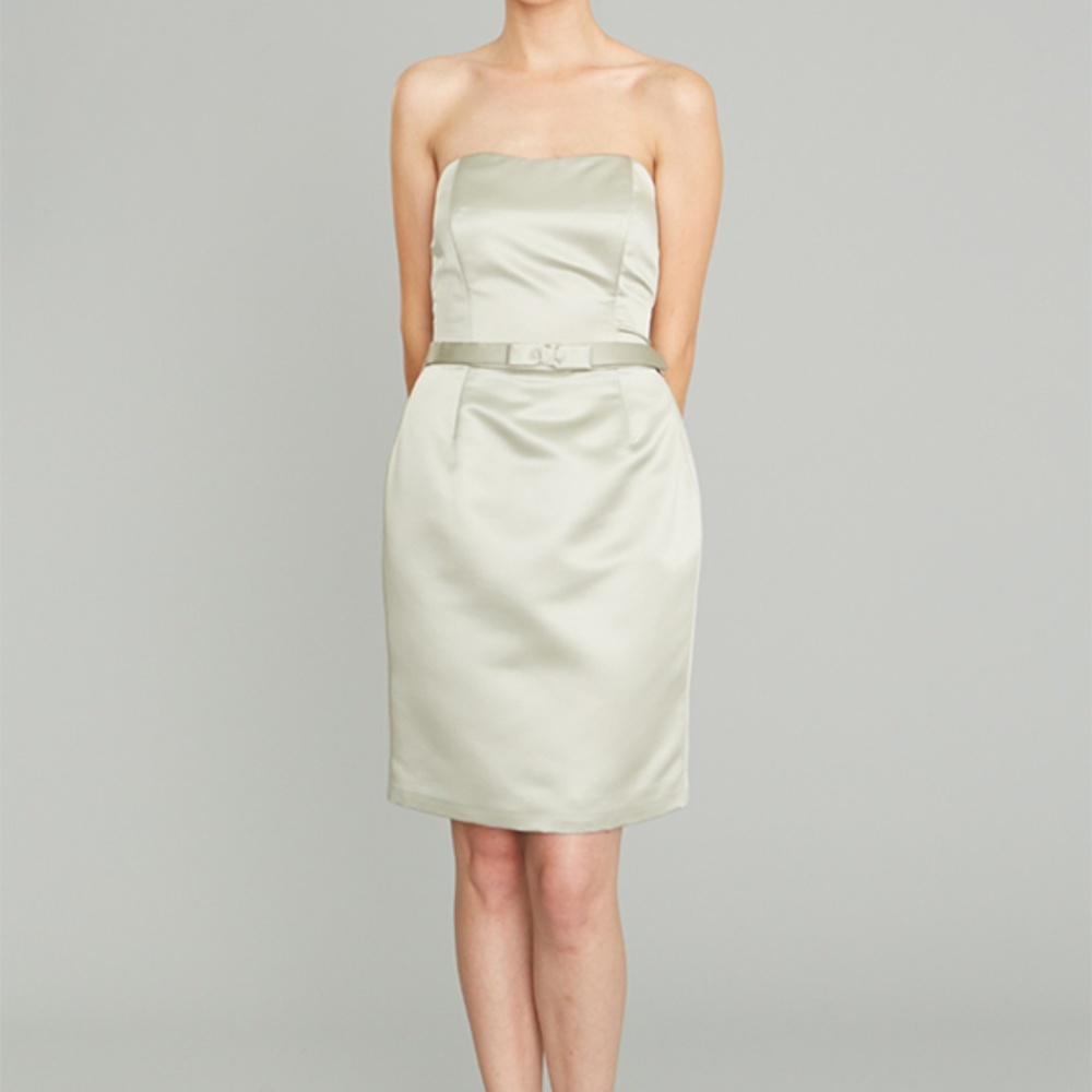 Siri Strapless Satin Dress & Bow Belt